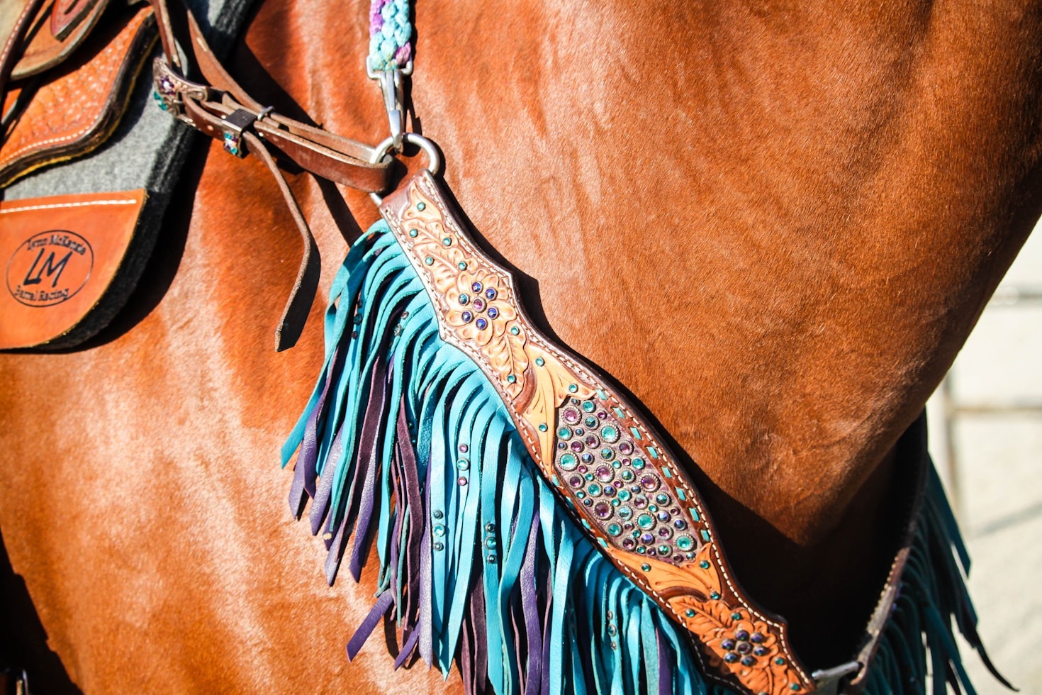 Why Quality Matters in Equestrian Gear